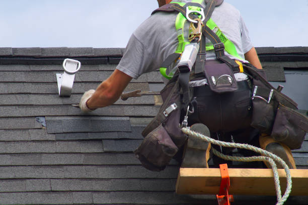 Best Storm Damage Roof Repair  in Plainfield, IL