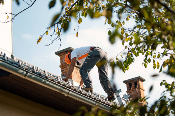 Best Residential Roofing Contractor  in Plainfield, IL
